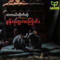 ကြွက် Rodent တွေ သယ်လာတတ်တဲ့ရောဂါတွေအကြောင်း